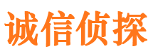 九龙坡侦探社